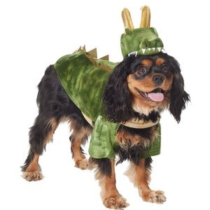 Alligator Loki Dog Costume